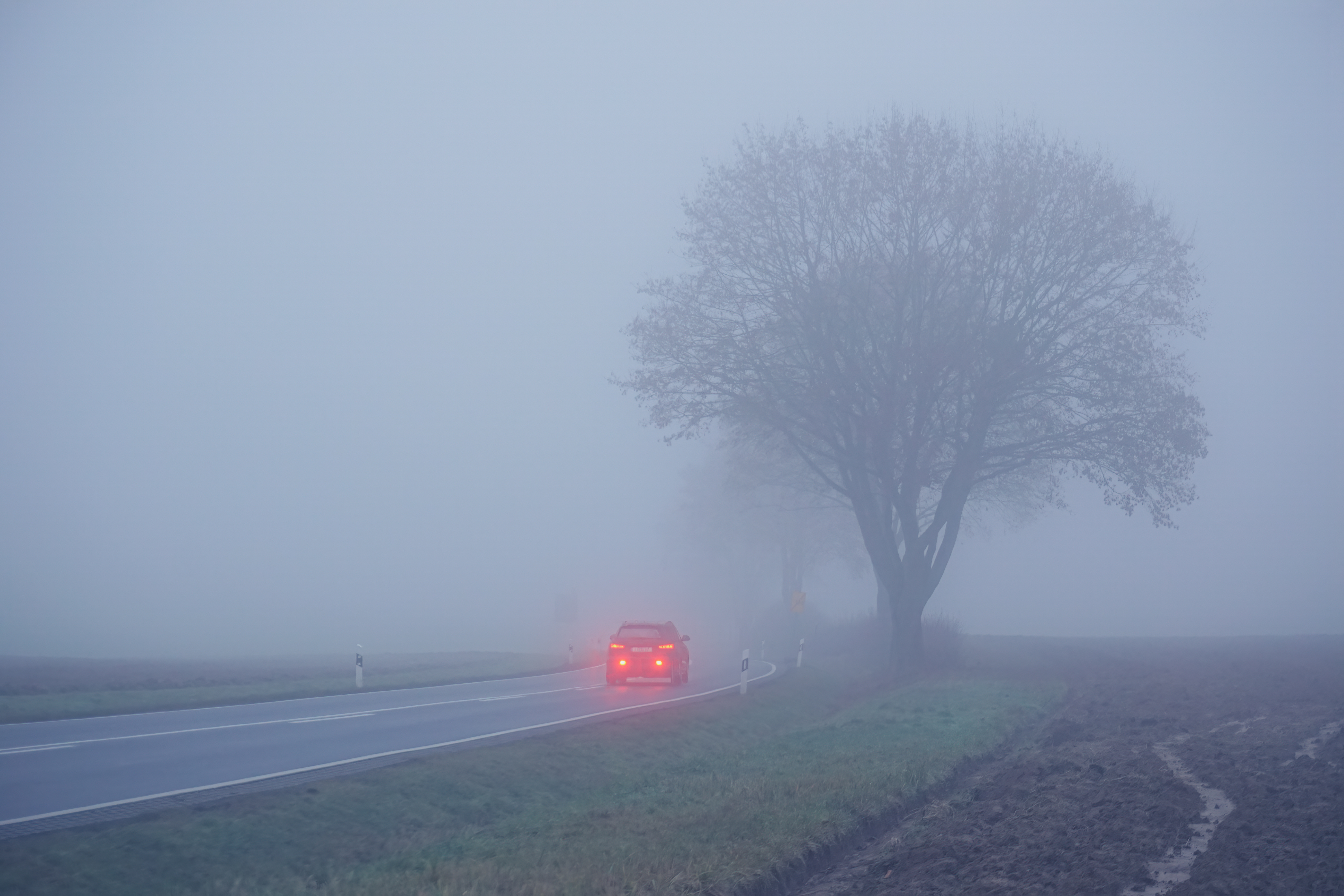 Driving in fog