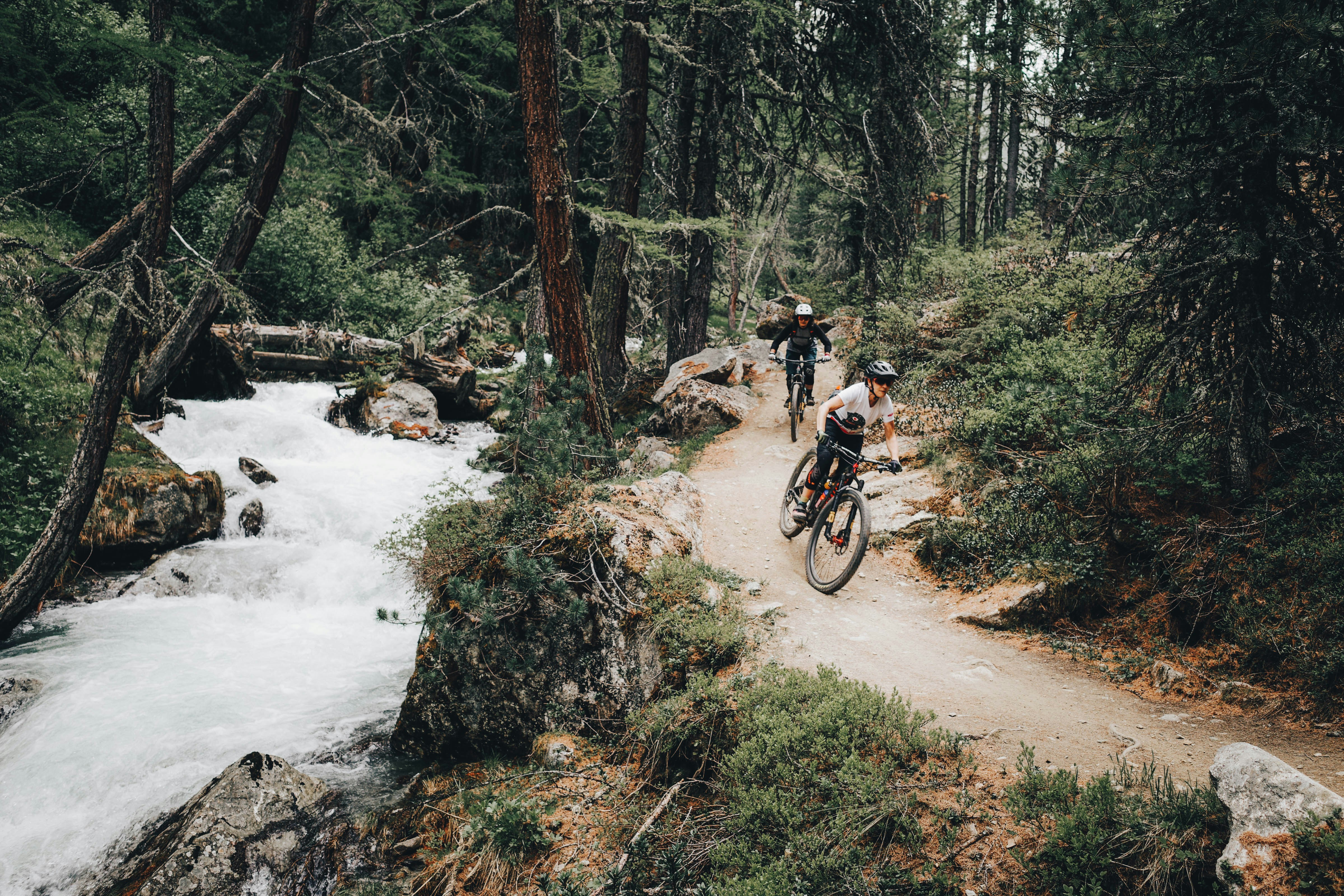 Two people cycling alongside each other in a forest