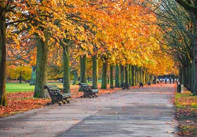 Richmond park